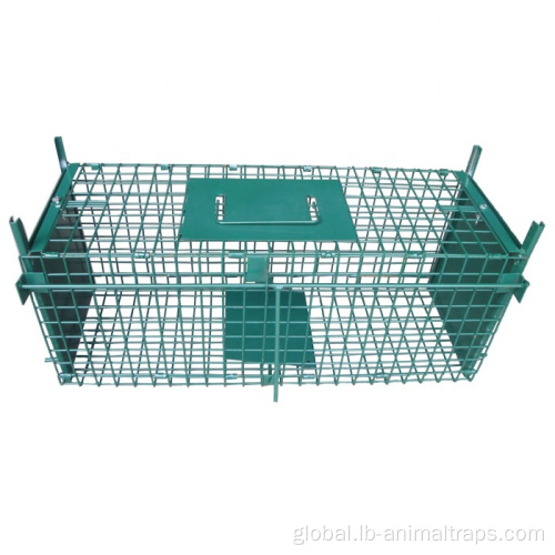 Rat Trap Cage Collapsible Double Doors Pest Animal Trap Cages Manufactory